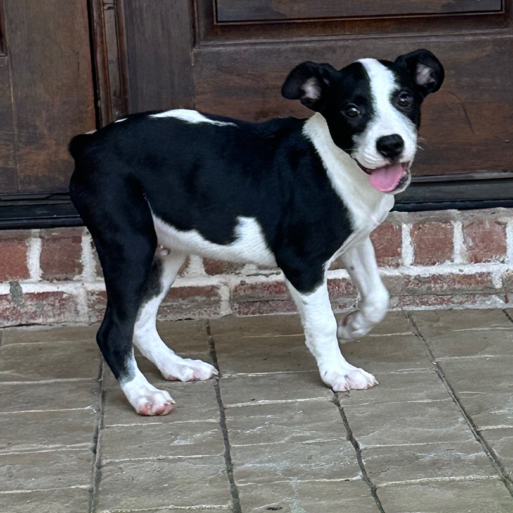 Larry — thumbnail 3