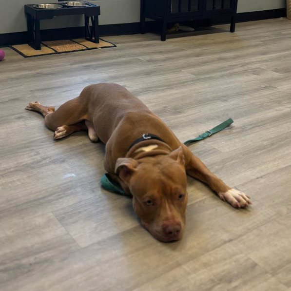 Gabe — thumbnail 2