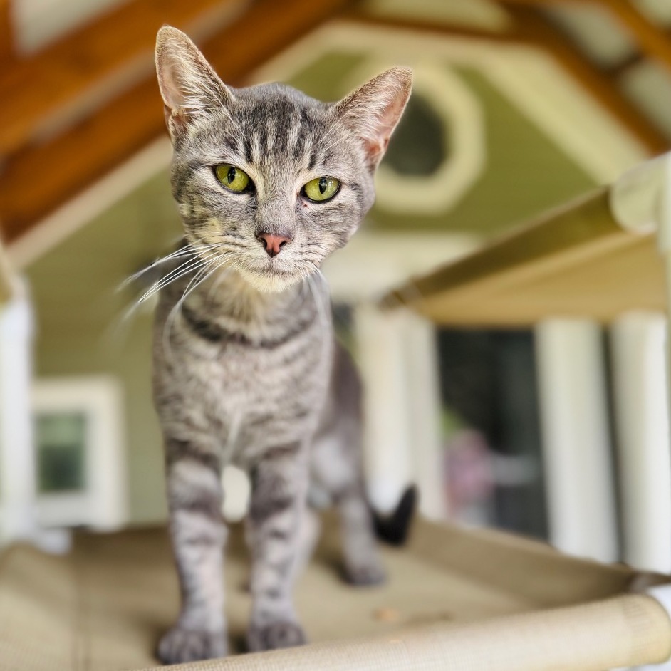 John Mayer — thumbnail 2