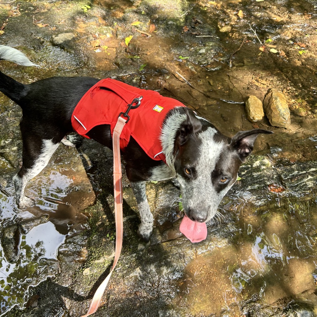 Tracker, photo 17