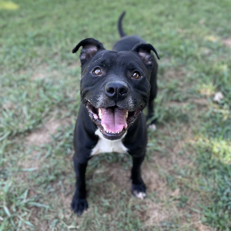 Matteo — thumbnail 4