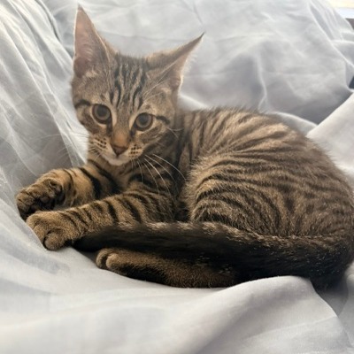 Matteo, photo 9