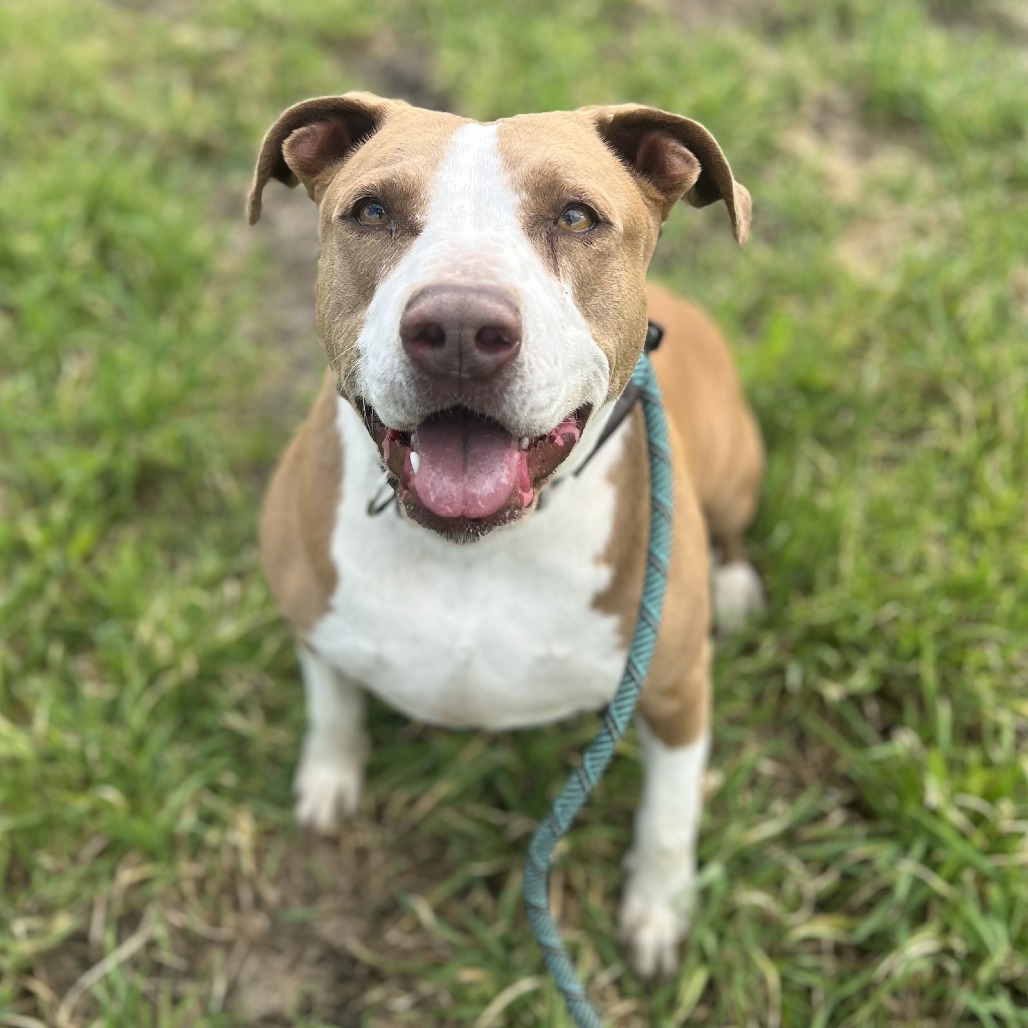 Donna Barkin — thumbnail 5