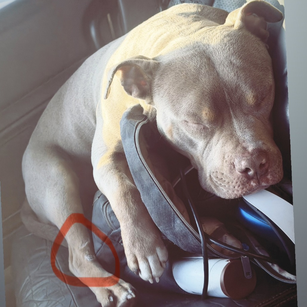 Photo of Sosa 3