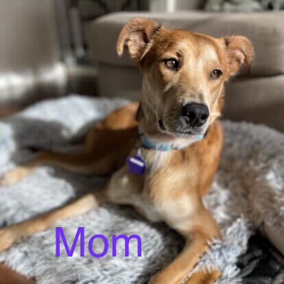 Doris — thumbnail 4