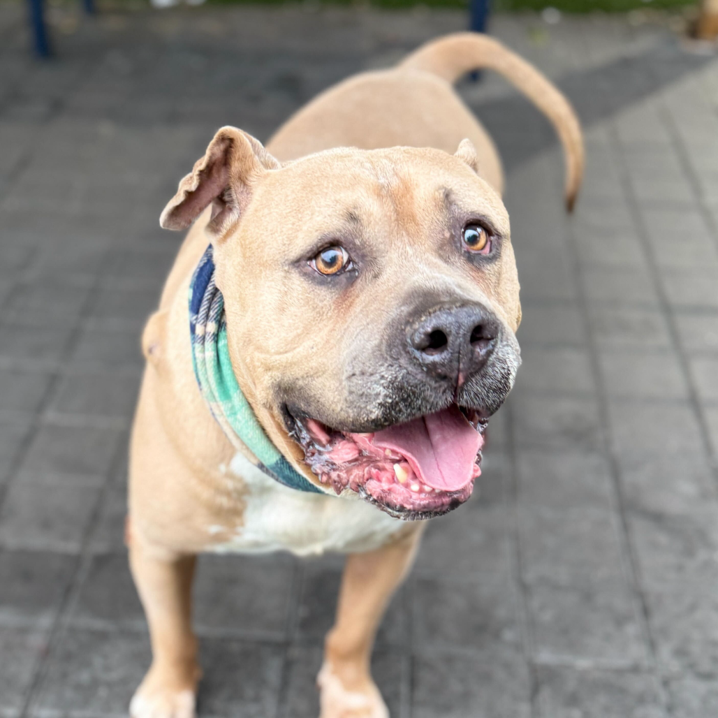 Blue — thumbnail 5