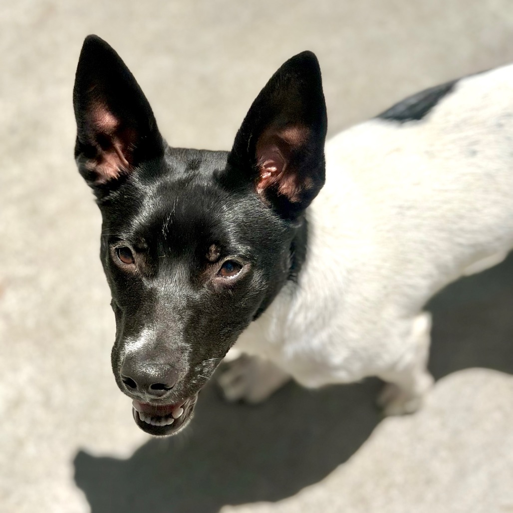 ZEUS, photo 3
