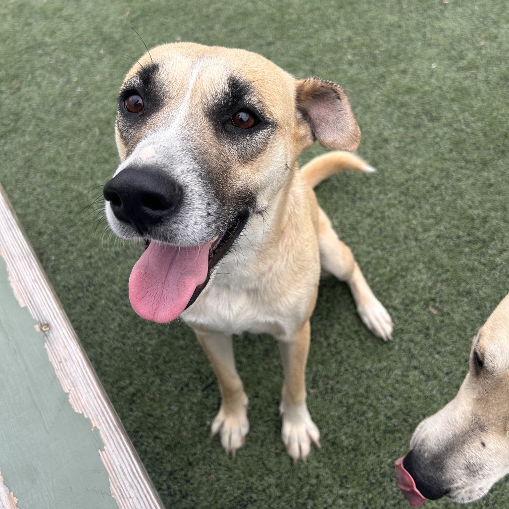 Molly — thumbnail 5