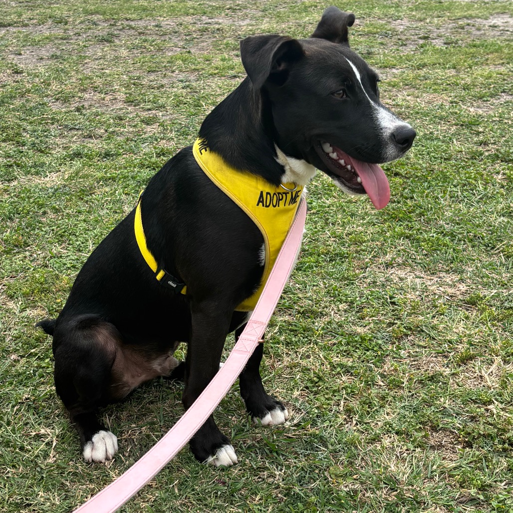 Charlie Brown photo 17