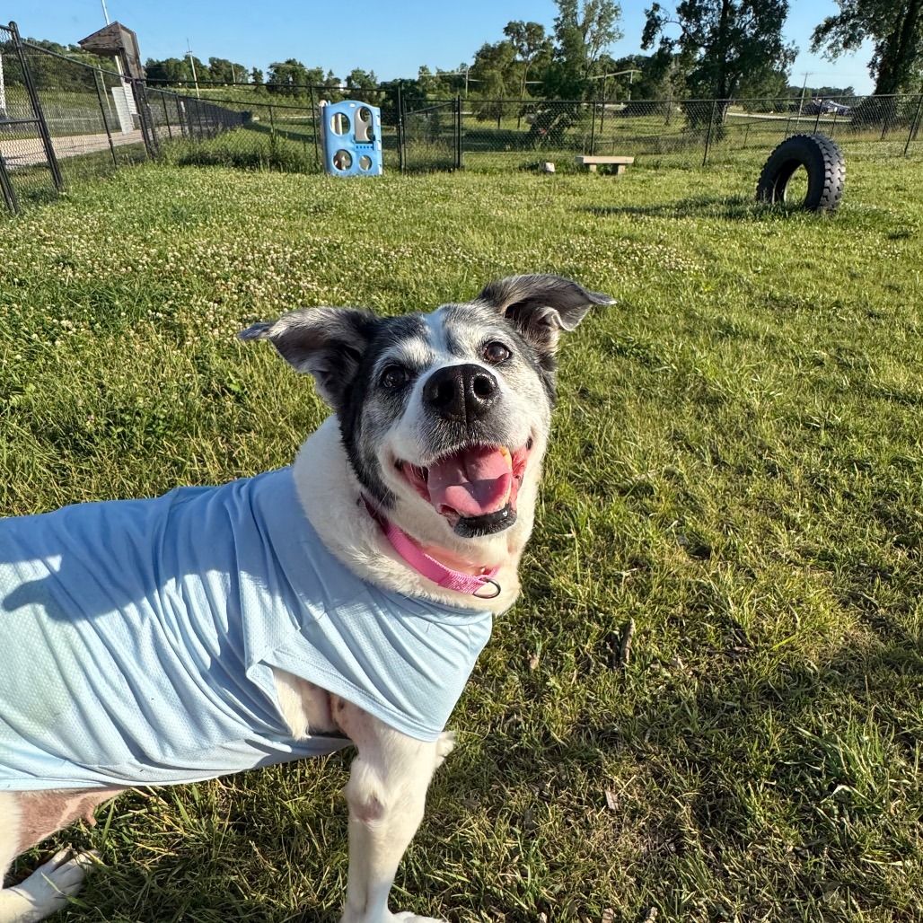 Bandit, photo 5