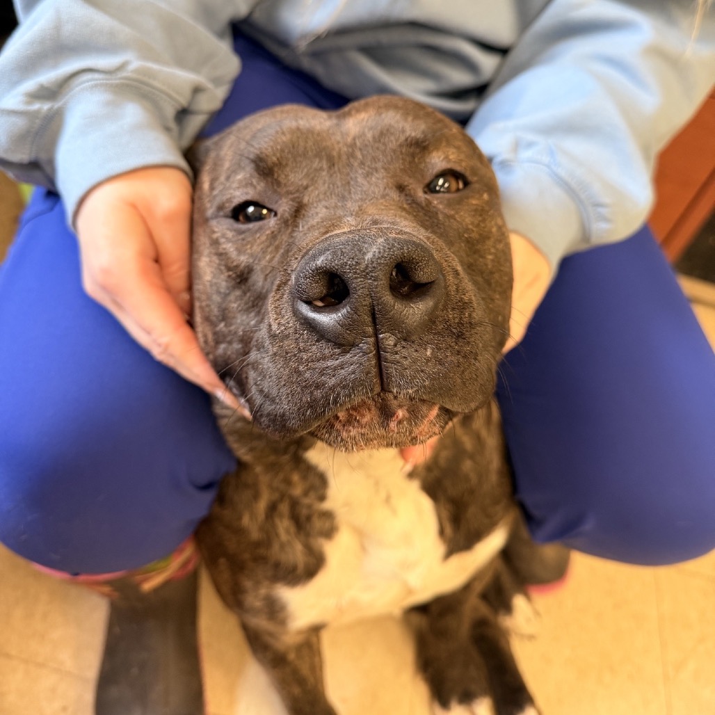 Minnie — thumbnail 2