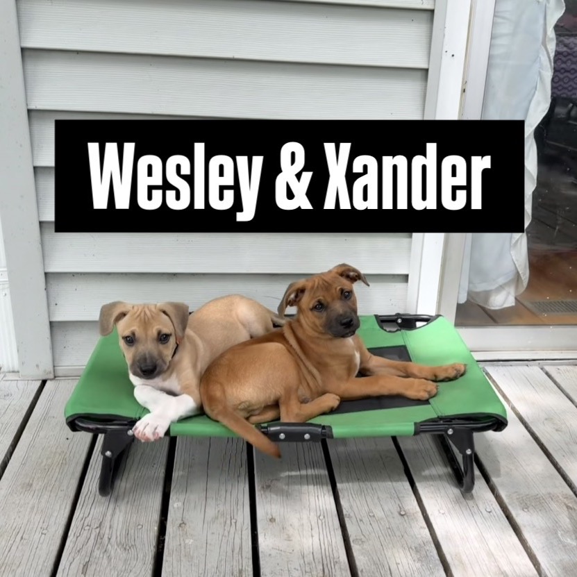 Wesley