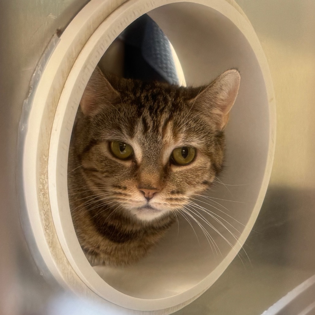 538c0d0d626485667d340ea441048f59