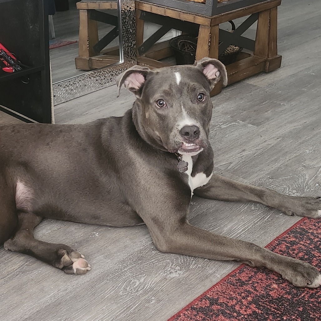 Rosie
