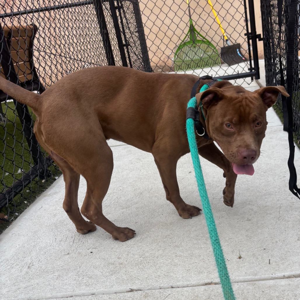 Spike — thumbnail 4