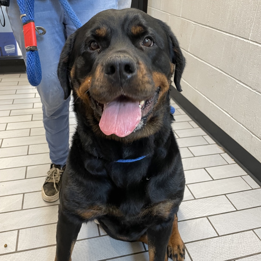 Zuna — thumbnail 3