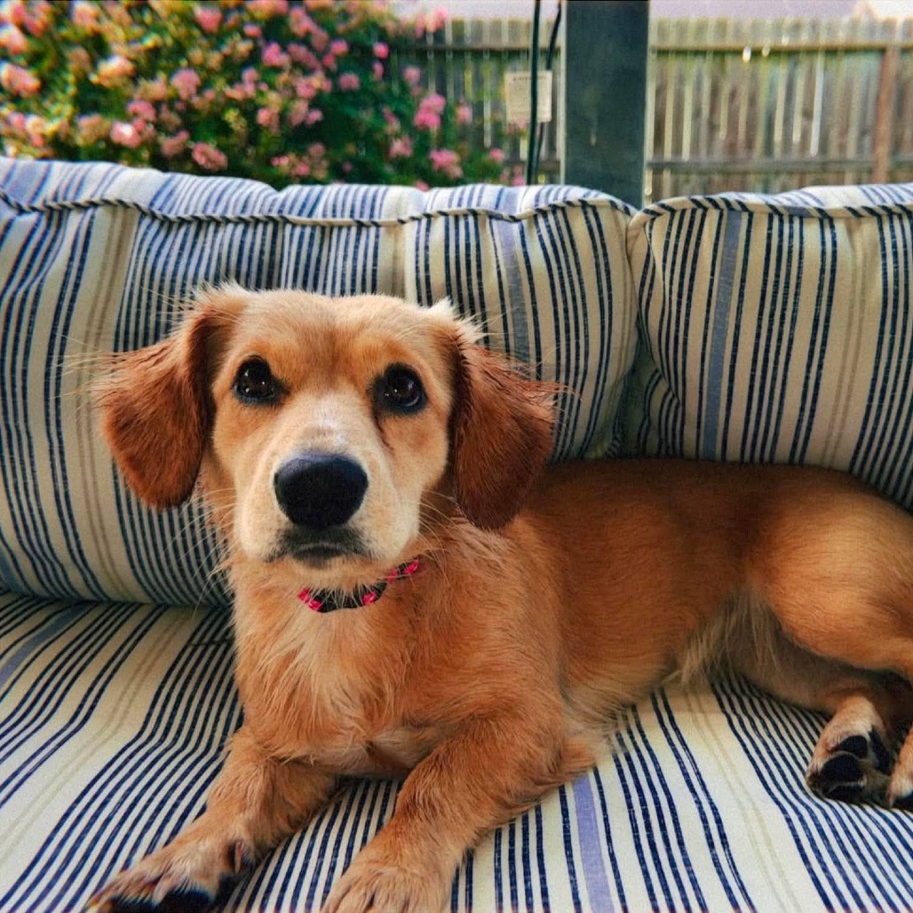 Skye