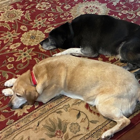 Onyx, photo 7