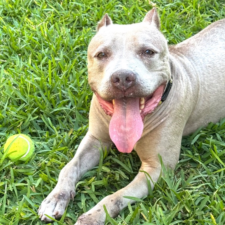 Image of Paige looking at the camera