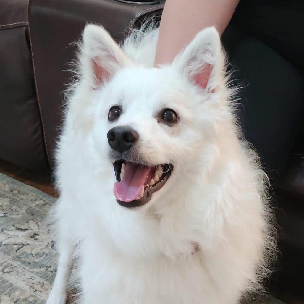 Kumo, photo 6 of 9