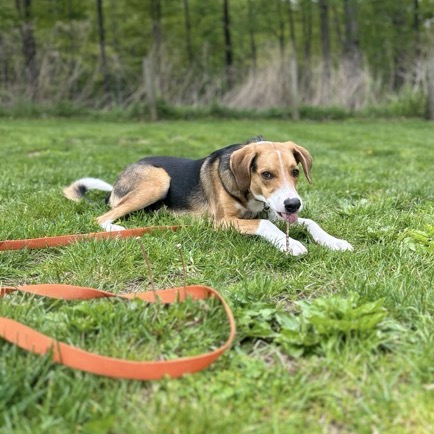 Opie photo 5