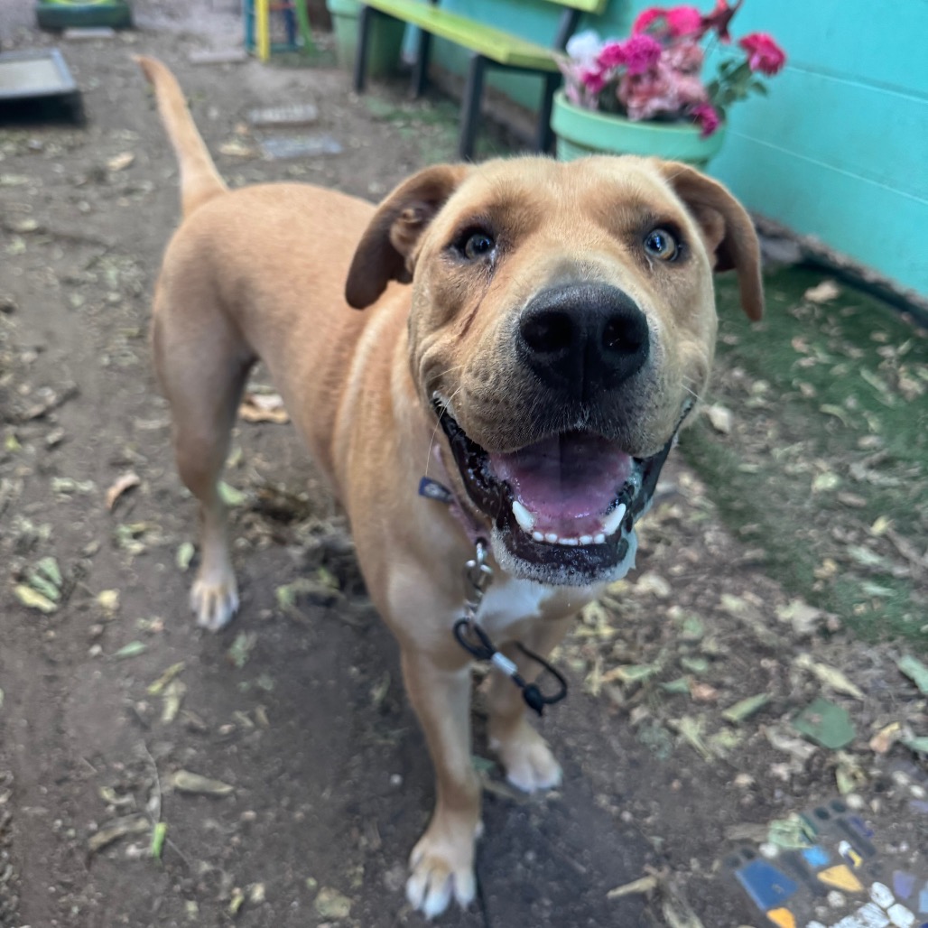 Maisy — thumbnail 9