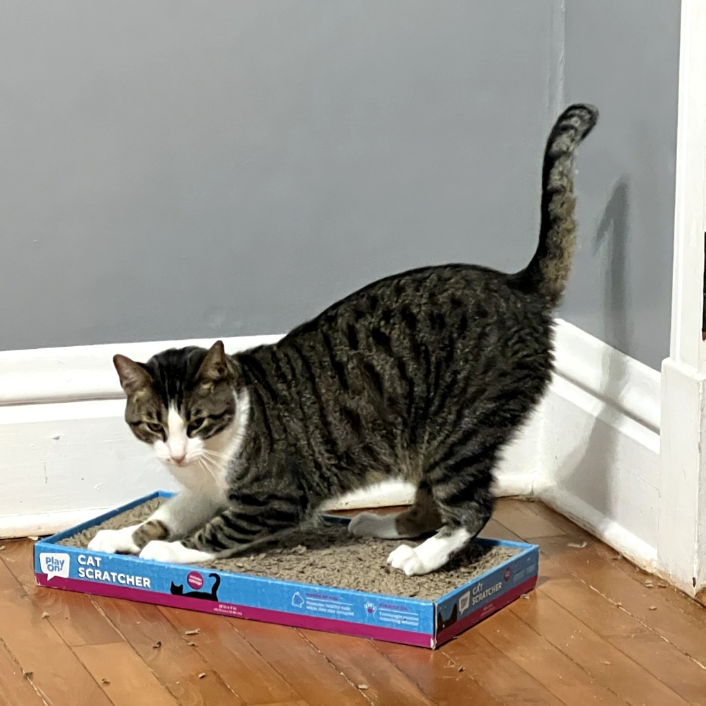 Burt (c2026), photo 12