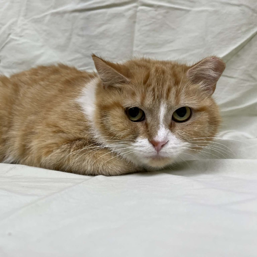 Beacon — thumbnail 2