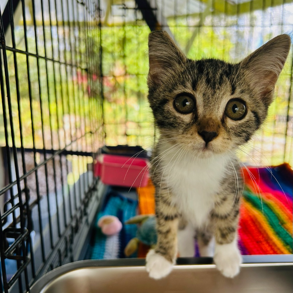 Newbie A2 — help us name this newbie! photo