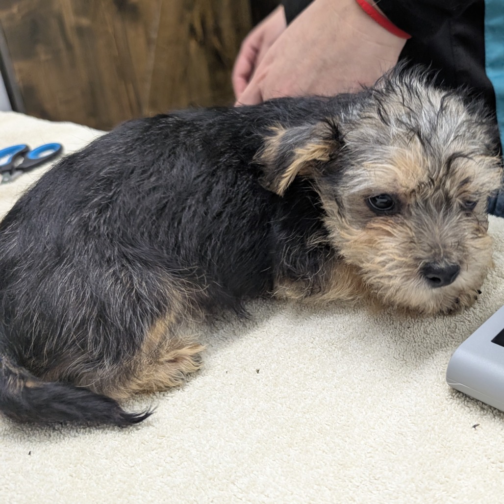 Stu Who — thumbnail 2