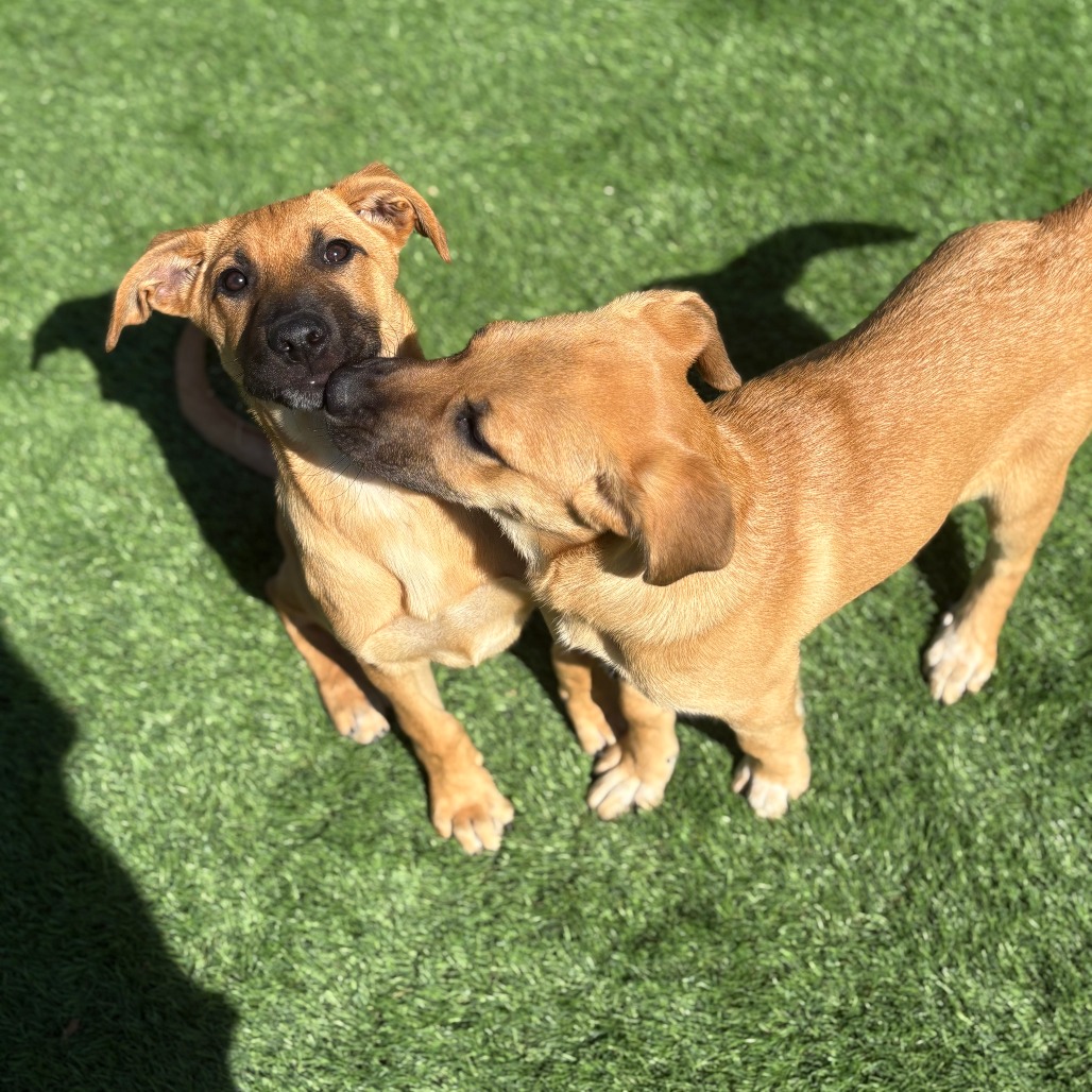 Thing 1 — thumbnail 7