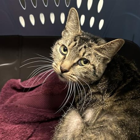 Photo of Interplanet Janet