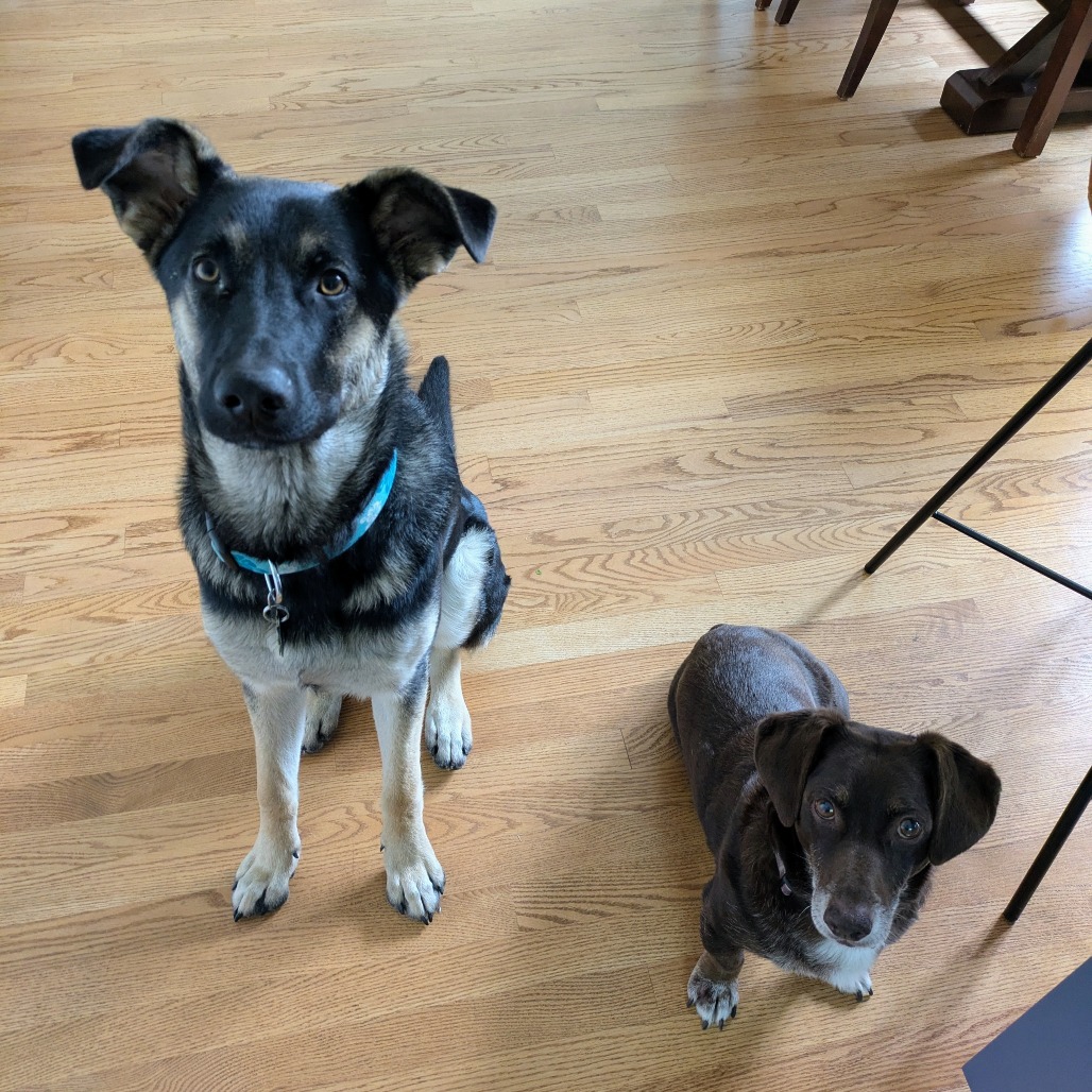 Mars — thumbnail 4