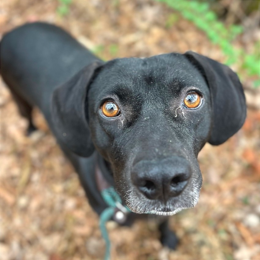 Aura — thumbnail 6