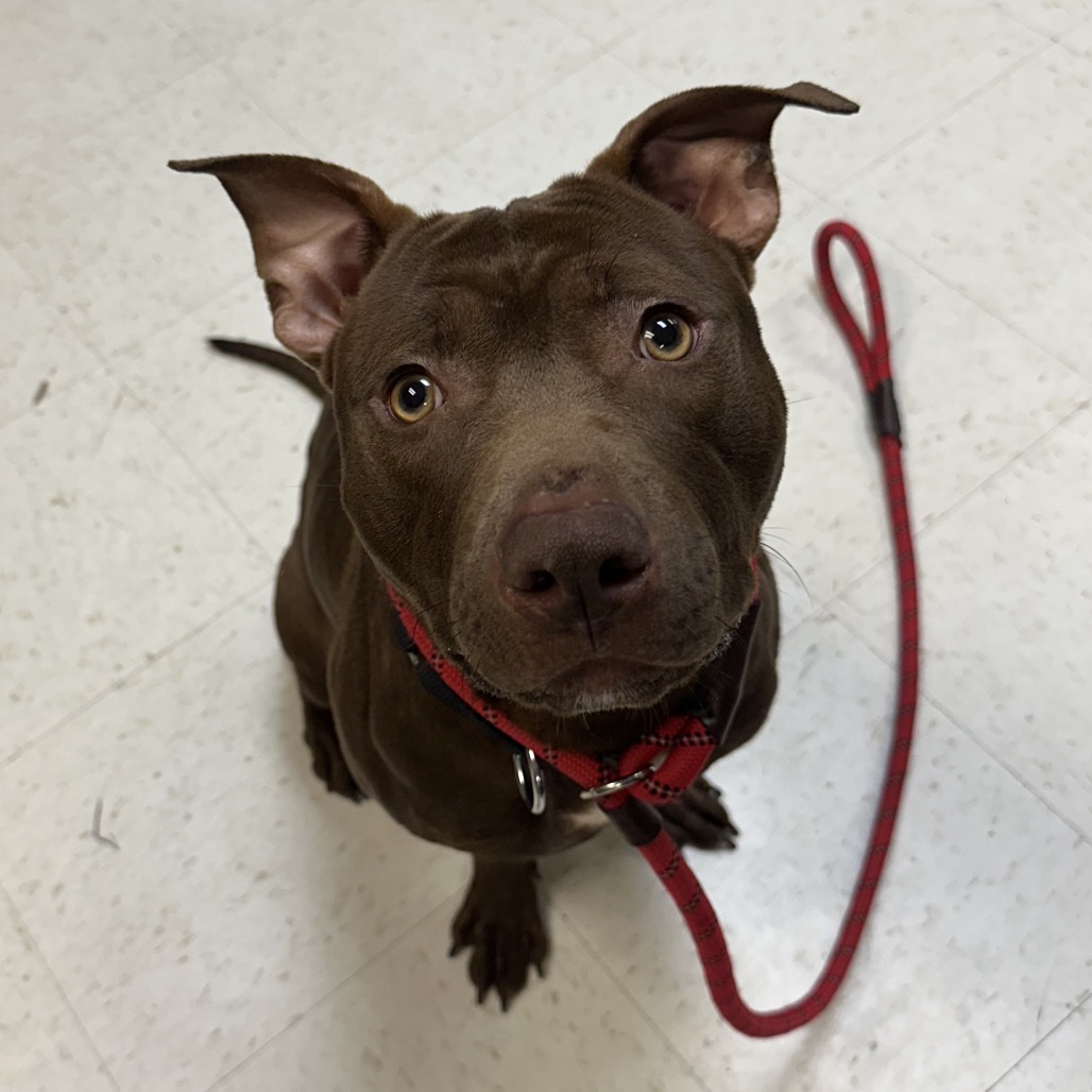 Haze — thumbnail 3