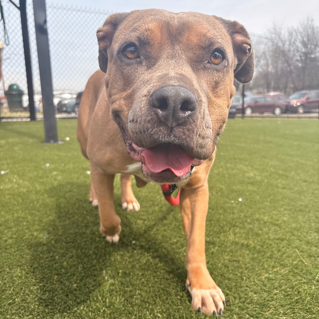 Marsadie — thumbnail 4