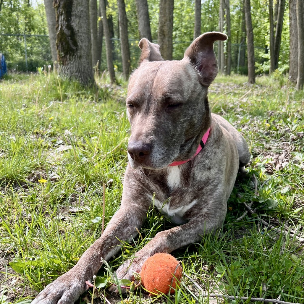 Dixie Loo, photo 25