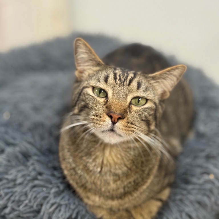 Full body shot of Squirt