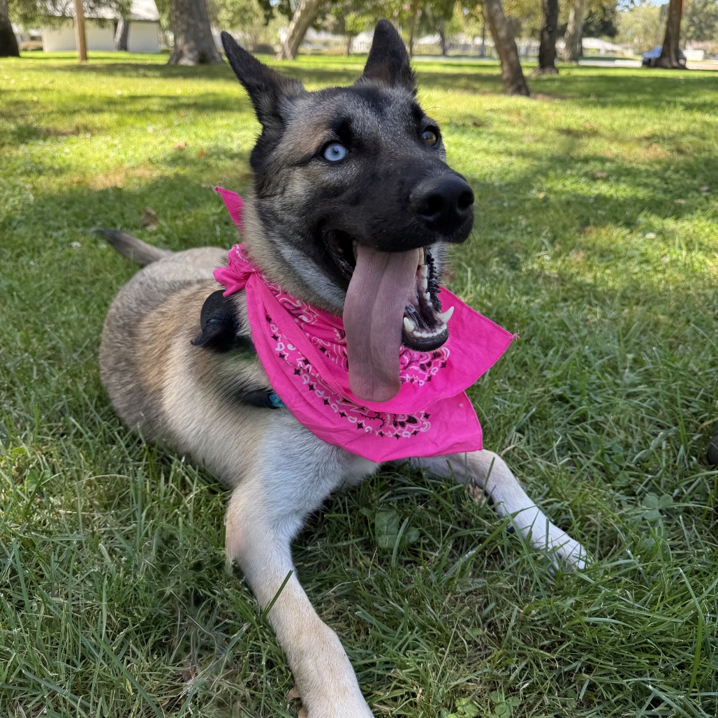 GEORGIA, photo 13