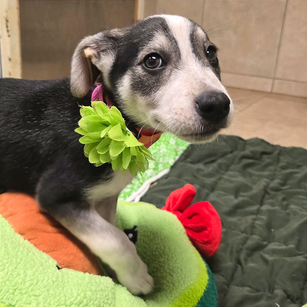 Bologna — thumbnail 7