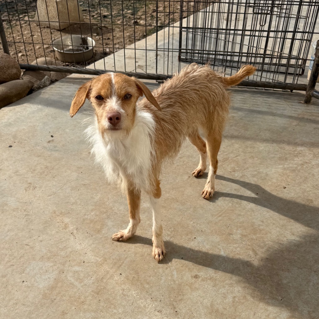 Mr. Bubbles — thumbnail 5