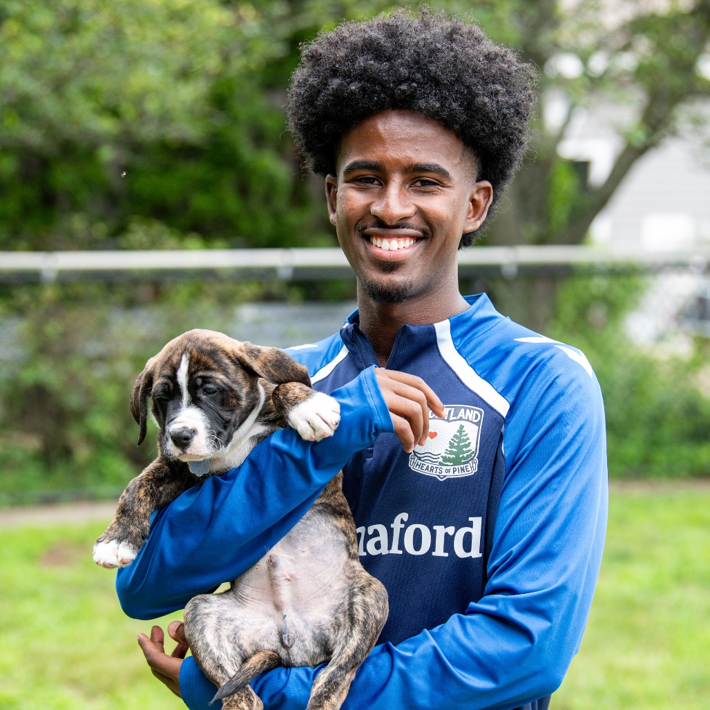 Hersi