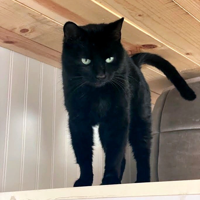 Candy — thumbnail 4