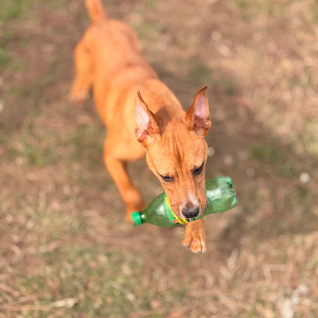 Namine — thumbnail 2