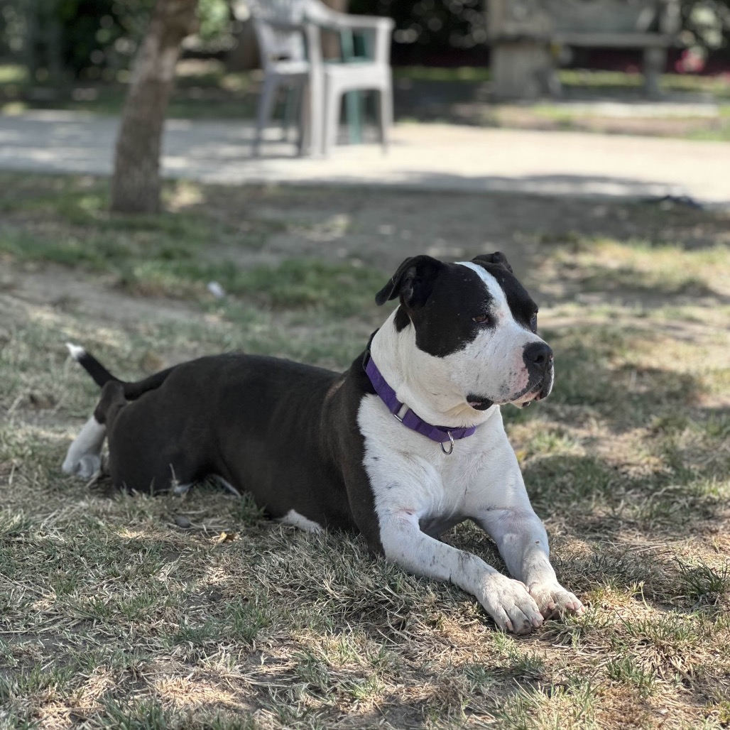 Sophia, photo 22