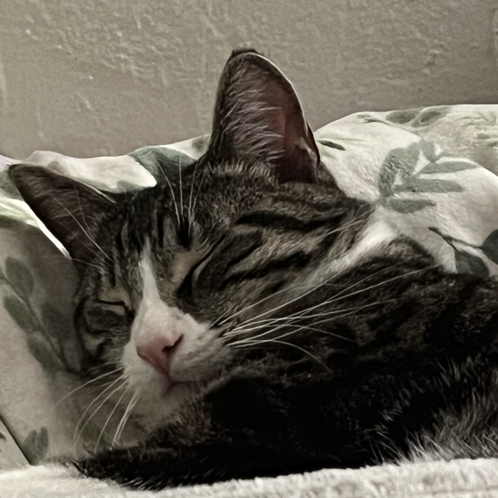 Carl, photo 6