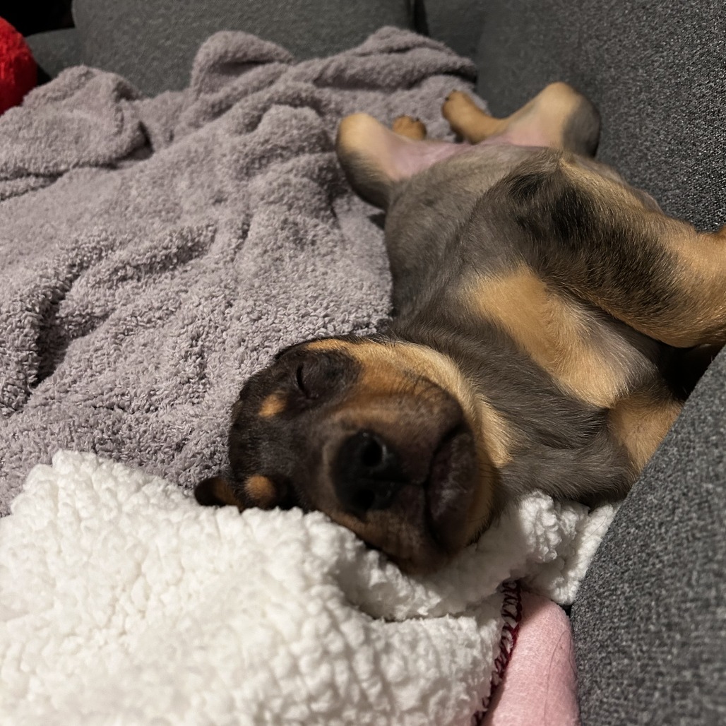 Didi — thumbnail 5