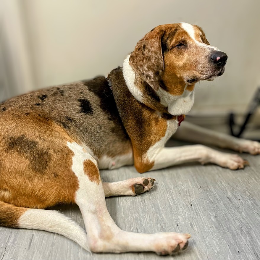 Rachel — thumbnail 5