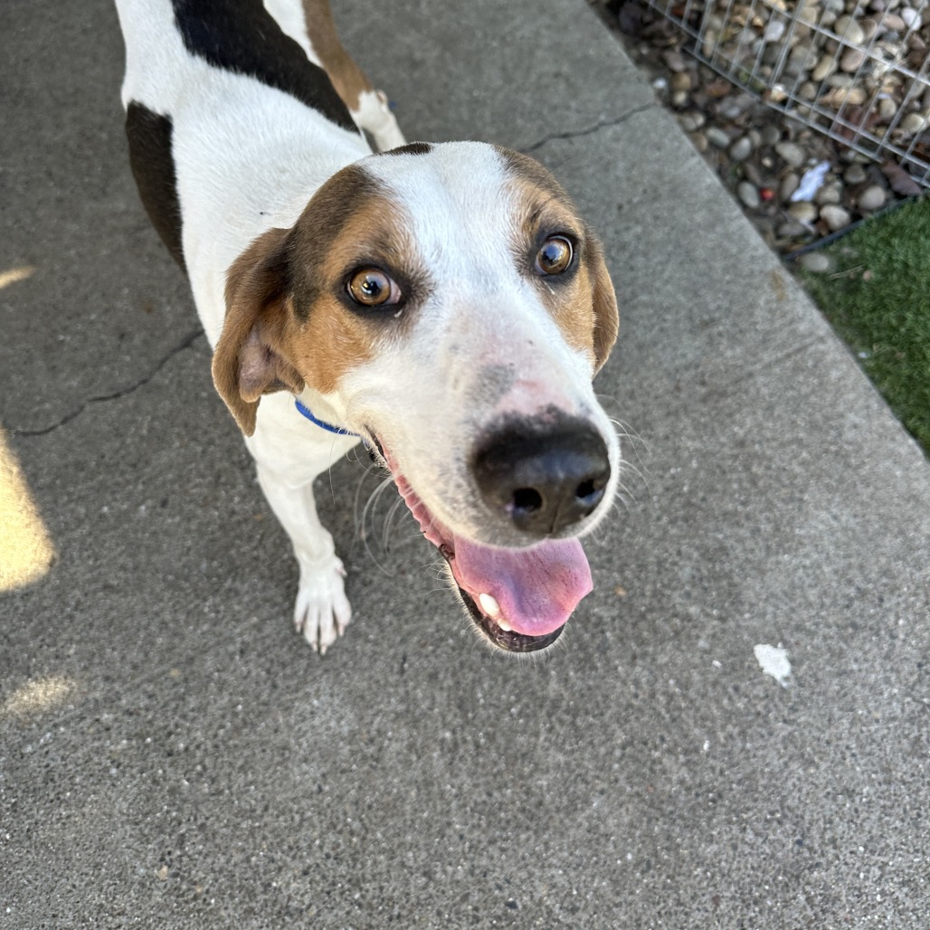 Zeke — thumbnail 3