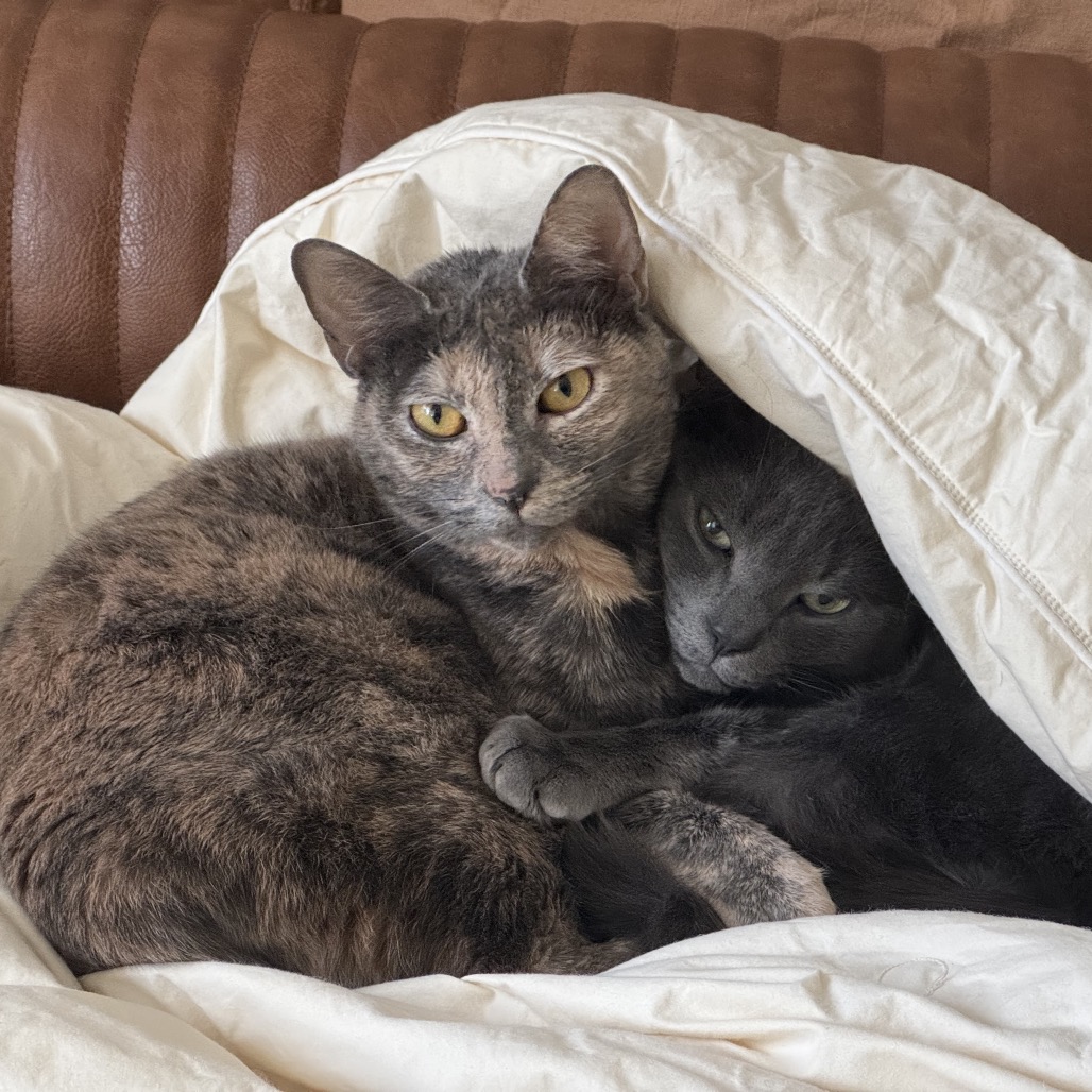 Asher — thumbnail 5